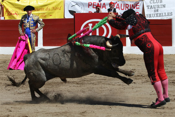 Céret de Toros 2011 - Irmãos Dias Céret de Toros 2011 - Irmãos Dias